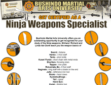 Tablet Screenshot of ninjaweaponscourse.ninjutsu.com